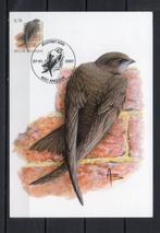 Année 2007 : Carte maximum 3608 - Oiseaux - Martinet noir -, Timbres & Monnaies, Timbres | Europe | Belgique, Enlèvement ou Envoi