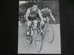 wielerkaart 1956 team mercier  lbl  fred de bruyne, Comme neuf, Envoi