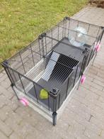 Hamster kooi, Dieren en Toebehoren, Kooi, Gebruikt, Minder dan 75 cm, Hamster