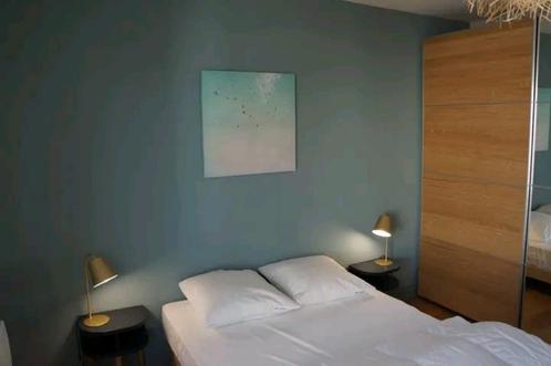 Appartement meublé en colocation mixtes avec domiciliation, Immo, Appartementen en Studio's te huur, Brussel, 50 m² of meer