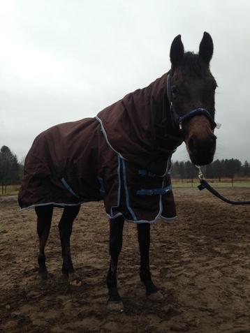 Outdoordeken 300 gram +hals beschikbaar voor biedingen