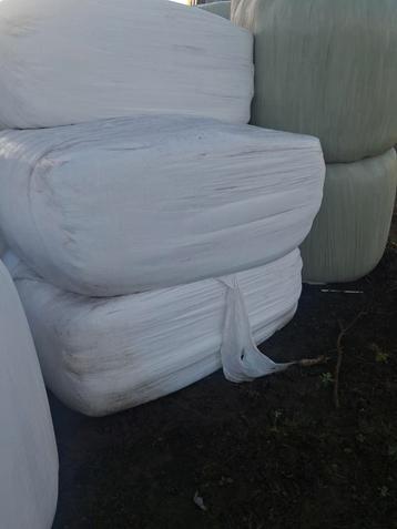 Gezocht: graspakken 1e of 2e snede beschikbaar voor biedingen