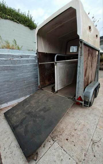 PACKO 2000 kg aanhangwagen/bestelwagen voor 2 paarden  beschikbaar voor biedingen