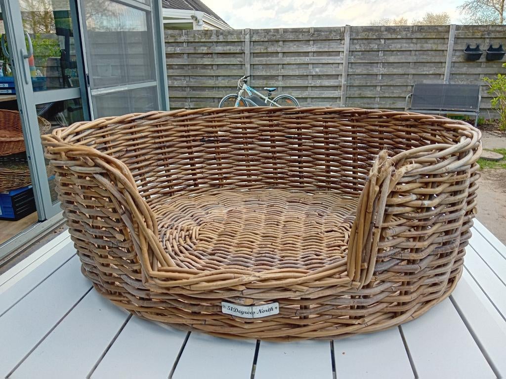 Mand hond 51 Degrees North, Animaux & Accessoires, Enlèvement