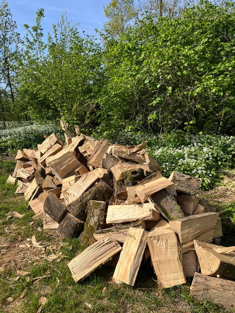 Brandhout, gekliefd half gedroogd., 3 tot 6 m³, Ophalen, Blokken