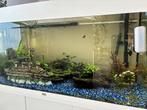 Juwel aquarium, Dieren en Toebehoren, Ophalen, Zo goed als nieuw, Verlichting of Verwarming