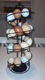 Broedeieren kleurleggers legkippen, Meerdere dieren, Kip