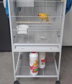 2 kakarikis met kooi, Ophalen