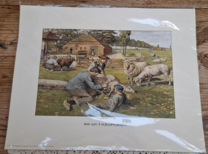 Ot en Sien prent, Bos aan 't Schaapscheren, schapen prent, Verzamelen, 1980 tot heden, Nieuw, Ophalen of Verzenden, Dier