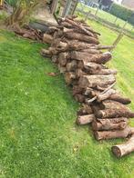 Brandhout eik, Tuin en Terras, Brandhout, Ophalen, Eikenhout