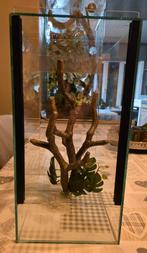 Terrarium 20x30x40 cm met decoratie, Dieren en Toebehoren, Ophalen