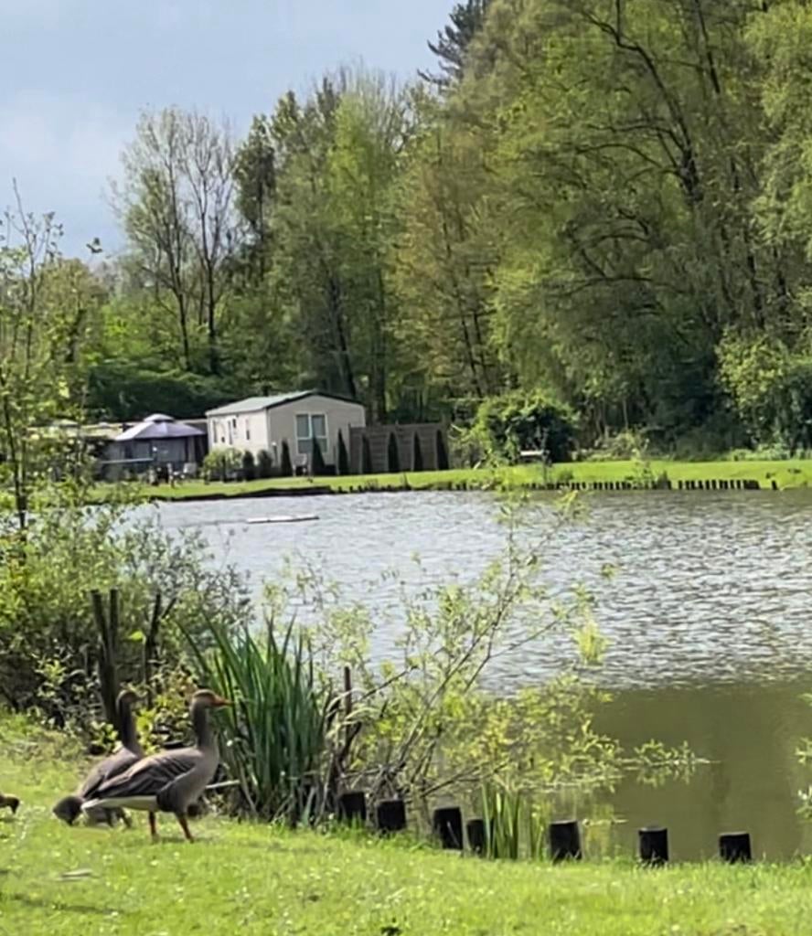 Belle maison de campagne à Aarschot., Immo, Résidences secondaires à vendre