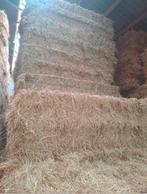 Grote en kleine pakken hooi en stro, Enlèvement ou Envoi