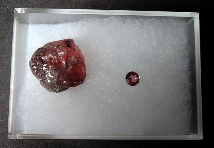 Ruwe en gepolijste FLUOR-LIDDICOATIET uit Madagaskar, Collections, Minéraux & Fossiles, Minéral, Enlèvement ou Envoi