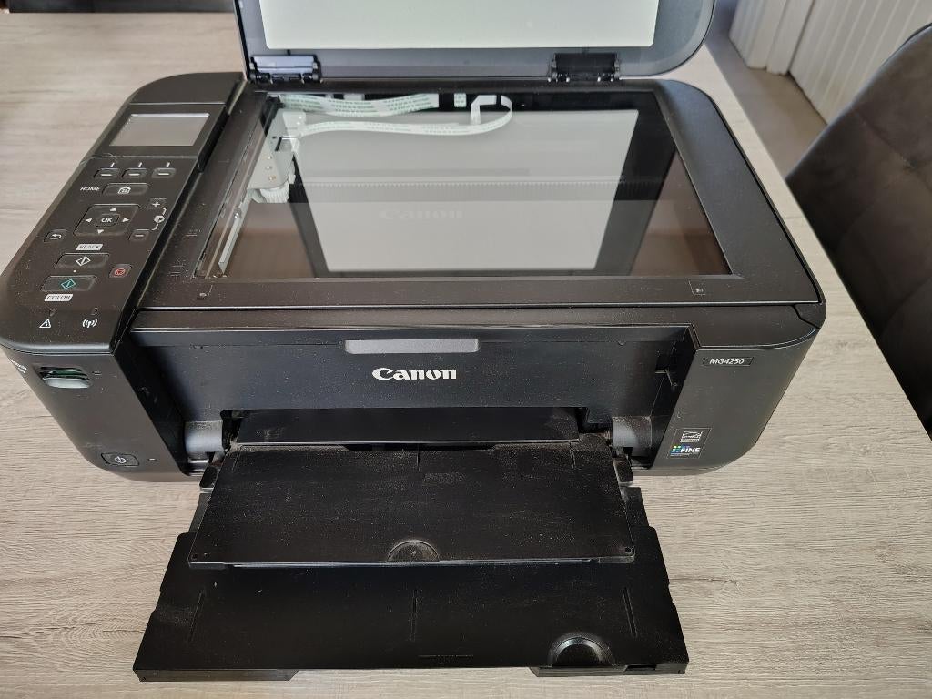 Imprimante Canon Pixma MG4250 (noir/couleur)., Computers en Software, Printers, Gebruikt, Printer, Inkjetprinter, Kleur printen