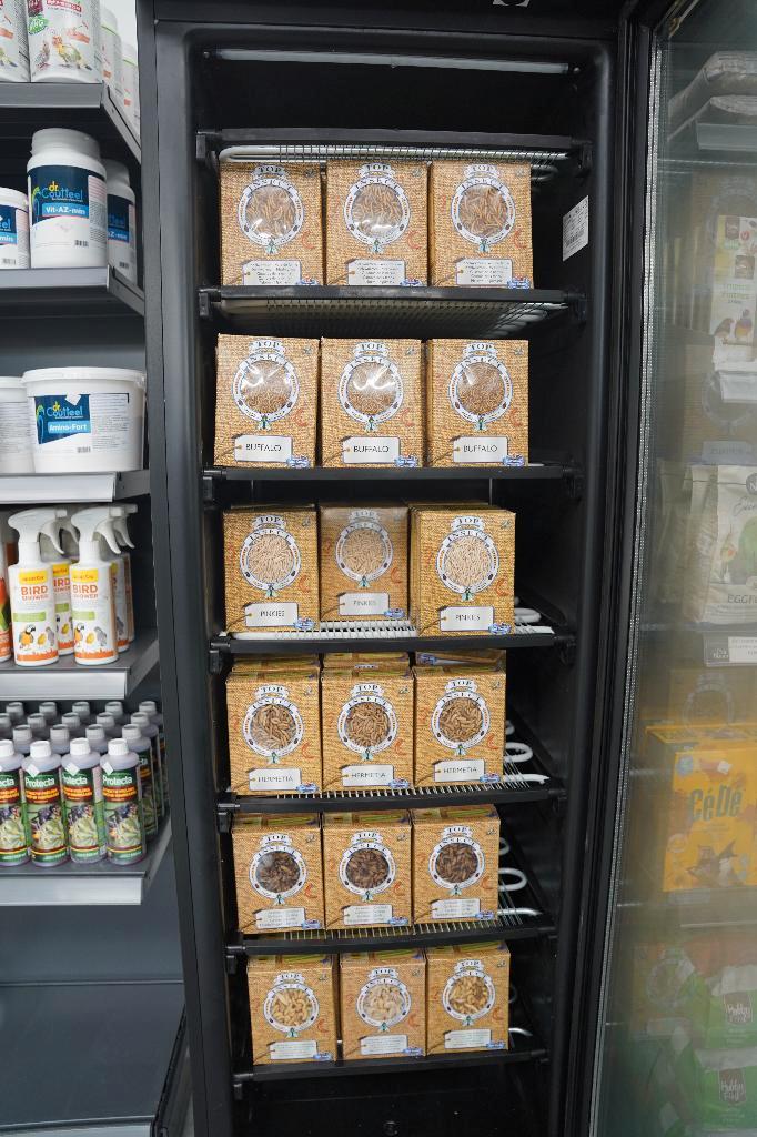 diepvries en levende insecten, Animaux & Accessoires, Oiseaux | Canaris