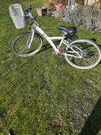 Vélo, Vélos & Vélomoteurs, Enlèvement, 24 pouces