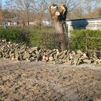 Brandhout, Tickets en Kaartjes