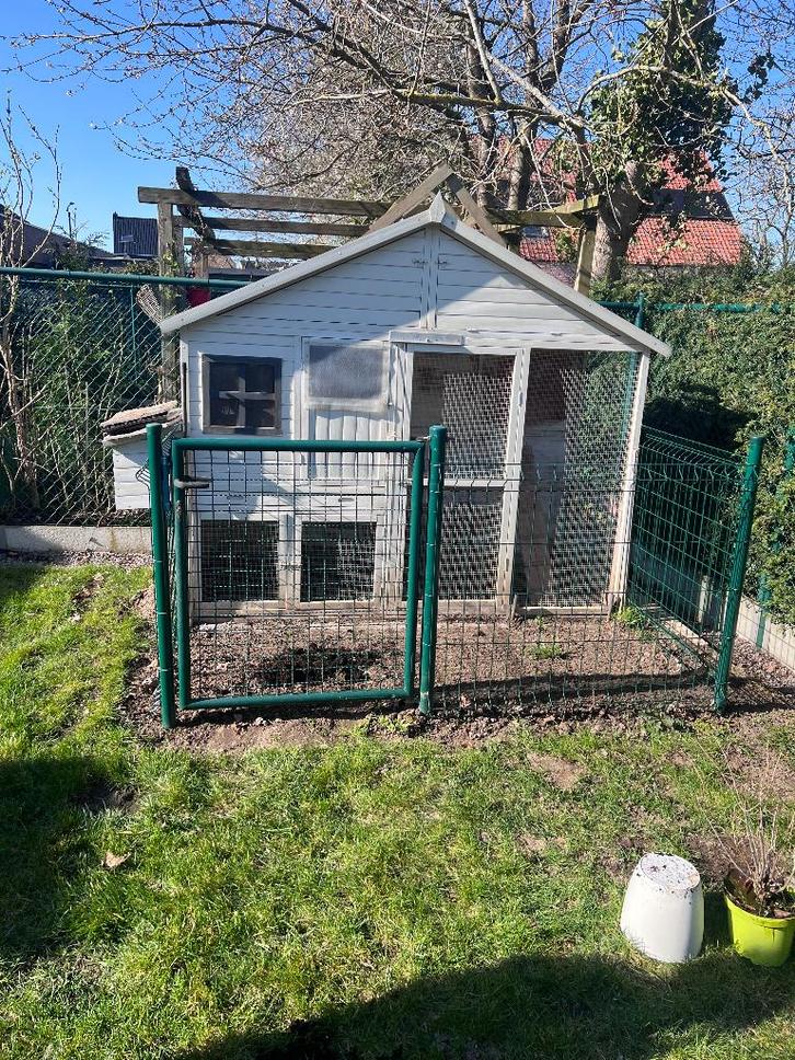 Kippenhok XXL, Animaux & Accessoires, Volatiles | Accessoires, Utilisé, Poulailler, Enlèvement