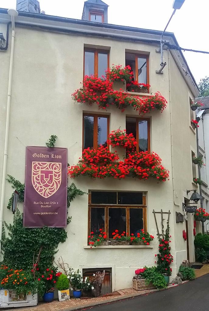 REDUCTION: Printemps à Bouillon – GoldenLion A DEBUT EUR 59, Vacances, Maisons de vacances | Belgique, Propriétaire, 9 personnes