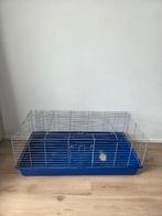 Konijn of cavia hok, Dieren en Toebehoren, Konijn, Hok, Ophalen, Minder dan 60 cm