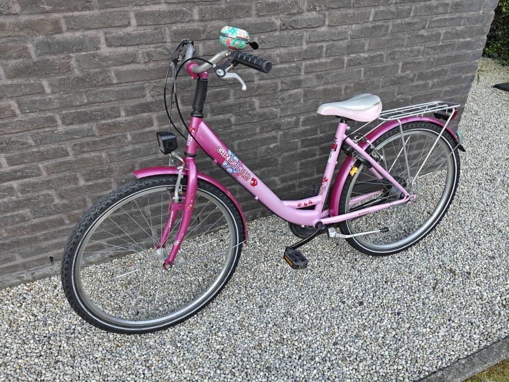 Bike fun 26 inch nexus-3 roze, Vélos & Vélomoteurs, Vélos | Filles, Utilisé, 26 pouces ou plus, Enlèvement