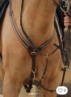 Kentaur borsttuig / martingaal bruin maat 2 cob izgst, Dieren en Toebehoren, Ophalen of Verzenden, Zo goed als nieuw