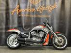 Harley-Davidson Chopper V-Rod Screamin'Eagle VRSCX, Motoren, Bedrijf, Meer dan 35 kW, Overig, 1250 cc