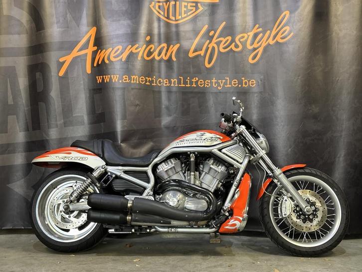 Harley-Davidson Chopper V-Rod Screamin'Eagle VRSCX, Motos, Motos | Harley-Davidson, Entreprise, Autre, plus de 35 kW