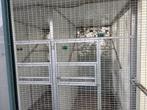 Alleminium voliere, Dieren en Toebehoren, Ophalen, Gebruikt, Aluminium, Volière