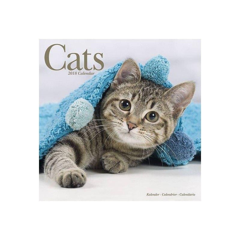 Calendrier Chat 2018, Divers, Calendriers, Neuf, Calendrier annuel, Enlèvement ou Envoi