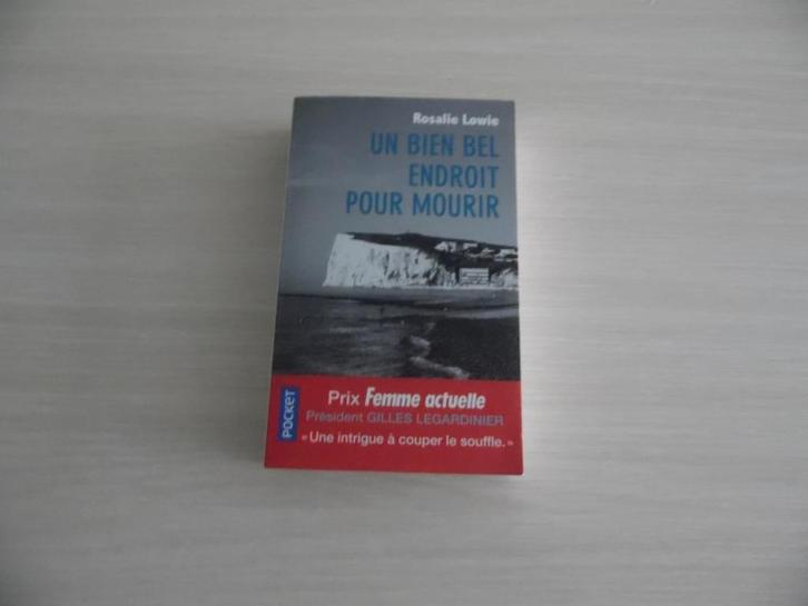 UN BIEN BEL ENDROIT POUR MOURIR       ROSALIE LOWIE, Livres, Thrillers, Comme neuf, Europe autre, Enlèvement ou Envoi