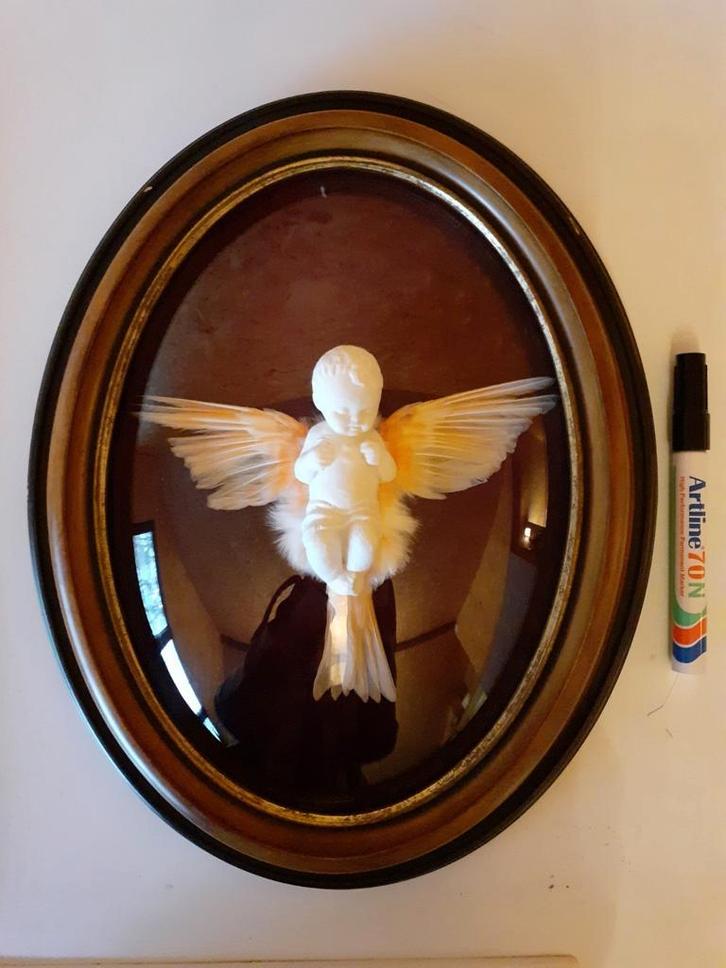 Kindje met echte vleugels in vintage kader, Verzamelen, Dierenverzamelingen, Nieuw, Overige typen, Vogel, Ophalen of Verzenden