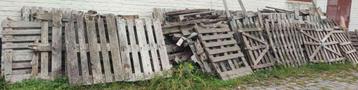Gratis hout om te geven beschikbaar voor biedingen