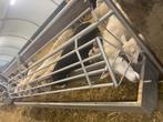 voederhek voor schapen inox