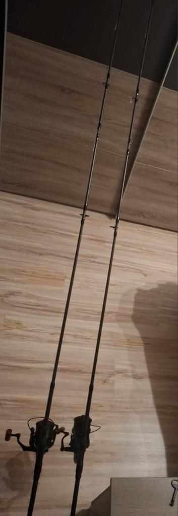 2x Daiwa Black Widow Ext 10ft 3lb + molens en sleeves, Watersport en Boten, Hengelsport | Karpervissen, Zo goed als nieuw, Ophalen