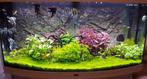 Juwel aquarium (groot), Dieren en Toebehoren, Ophalen of Verzenden, Gebruikt