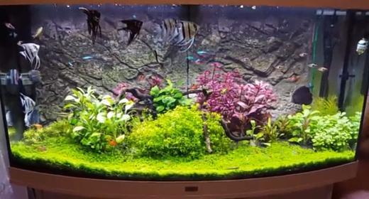 Juwel aquarium (groot), Dieren en Toebehoren, Vissen | Aquaria en Toebehoren, Gebruikt, Ophalen of Verzenden