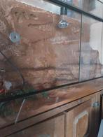 Terarium, Dieren en Toebehoren, Ophalen, Zo goed als nieuw