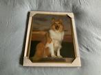 Lassie schilderij, Ophalen of Verzenden, Nieuw
