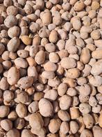 Amora pootgoed gratis 300kg, Ophalen