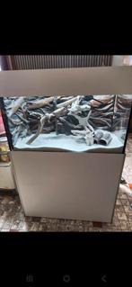 Aquarium met sump onderaan afgewerkt trespa, Enlèvement