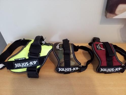 Harnais pour chien JULIUS K9, Dieren en Toebehoren, Honden-accessoires, Ophalen
