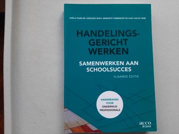 Noëlle Pameijer - Handelingsgericht werken beschikbaar voor biedingen