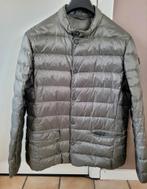 Toffe donsvest merk Trussardi Jeans, It56 = Be52 XL/46, Ophalen of Verzenden, Zo goed als nieuw
