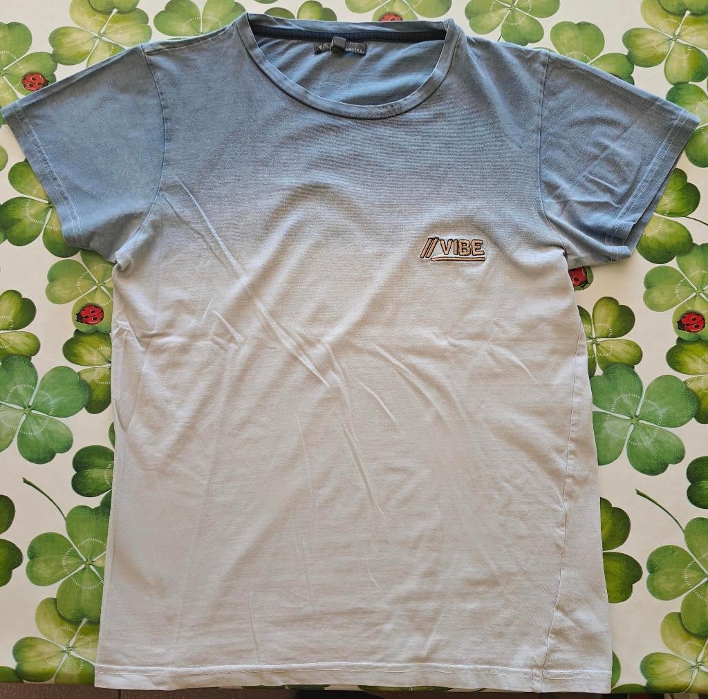 T-shirt maat S, Vêtements | Hommes, T-shirts, Enlèvement, Porté, Bleu, Taille 46 (S) ou plus petite