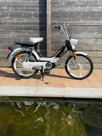 Honda Camino original et amusant, Vélos & Vélomoteurs, Cyclomoteurs | Oldtimers & Ancêtres, Enlèvement, Classe A (25 km/h)