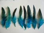 15 stuks hanenveren  - met oliekleurige gloed, Enlèvement ou Envoi, Neuf