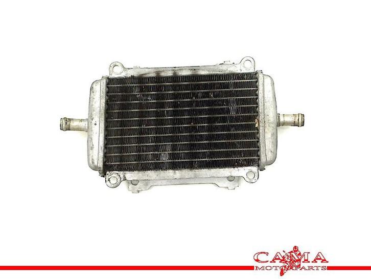 RADIATEUR Piaggio GTS 250 i.e 2005-2013 (GTS250), Motoren, Onderdelen | Overige, Gebruikt