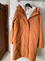 Winterjas sissy boy maat small nieuw, Kleding | Dames, Jassen | Winter, Ophalen of Verzenden, Nieuw, Maat 36 (S), Bruin